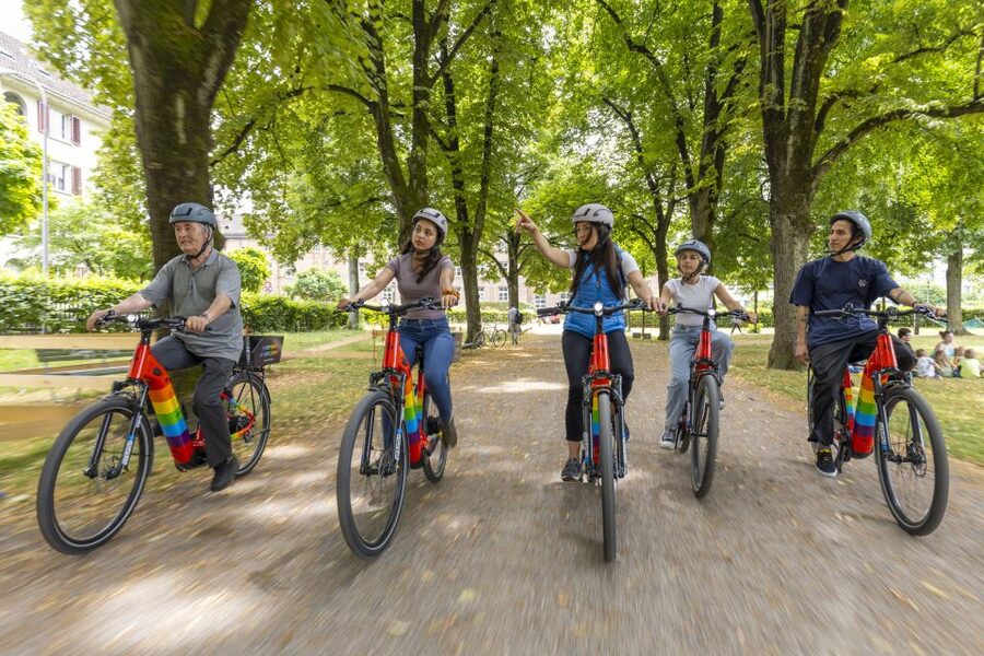 Zurich: E-Bike City Tour - Key Points to Know Before You Go