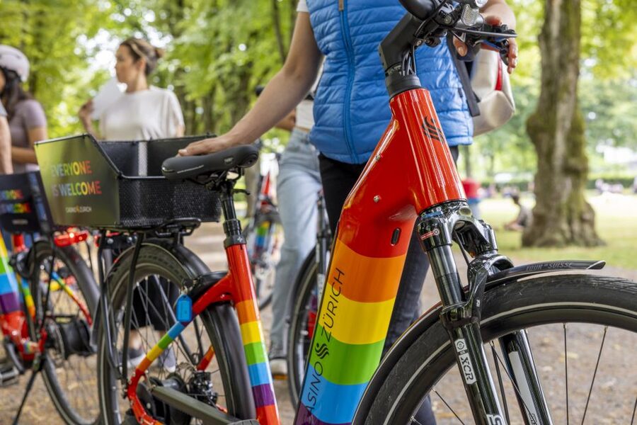 Zurich: E-Bike City Tour - Zürich West: From Industrial Halls to Modern City Energy