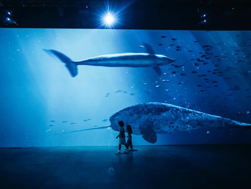 Zurich: Entrance ticket to the "Titanic" immersive exhibition at Lichthalle Maag - FAQ
