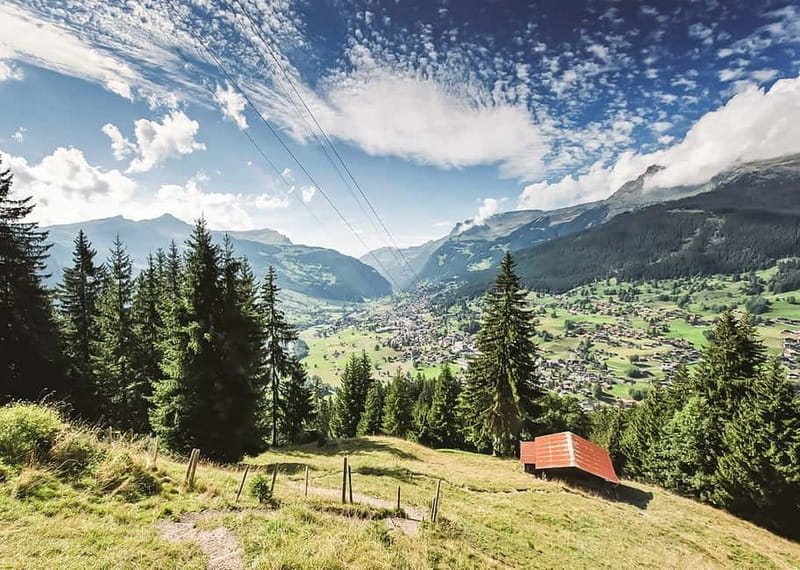 Zurich: Grindelwald, Interlaken & Lauterbrunnen Day Trip - Planning notes that can affect your day: Sunday closures, seasonal operations, and reverse order
