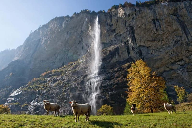 Zurich: Grindelwald, Interlaken & Lauterbrunnen Day Trip - From Zurich Sihlquai to the Bernese Oberland: how the day starts moving