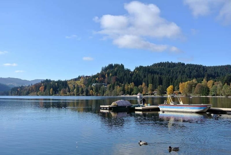 Zürich/Lucerne: Rhine Falls, Titisee & Black Forest Day Trip - Key Points Before You Go