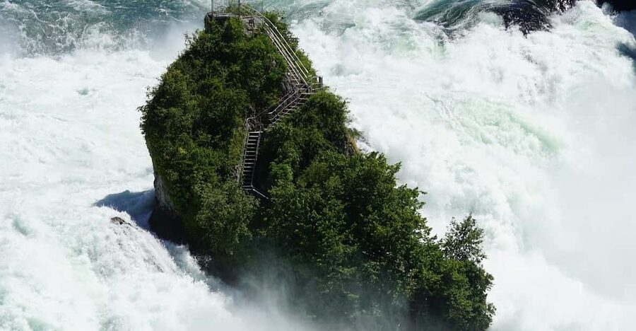 Zürich/Lucerne: Rhine Falls, Titisee & Black Forest Day Trip - Who This Tour Fits Best (And Who Might Want Something Different)
