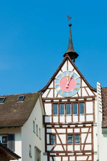 Zürich/Lucerne: Rhine Falls, Titisee & Black Forest Day Trip - Price and Value for a $290 Private Day Trip