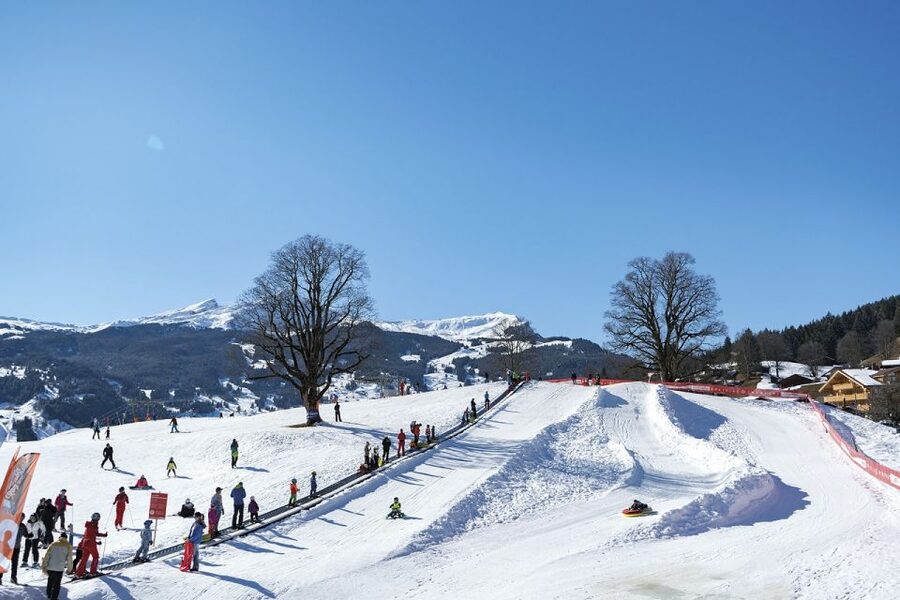 Zurich/Lucerne: Swiss Ski Experience in the Jungfrau Region - From Zurich or Lucerne to the Jungfrau without the headache