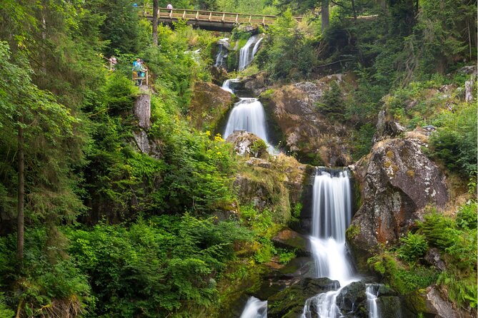 Zürich: Private Car Tour to Rhine Falls, Titisee and Black Forest - Titisee-Neustadt and Lake Titisee: Black Forest calm