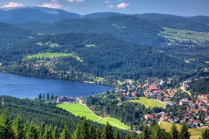 Zürich: Private Car Tour to Rhine Falls, Titisee and Black Forest - Schluchsee photo stop: a quick lake-view payoff