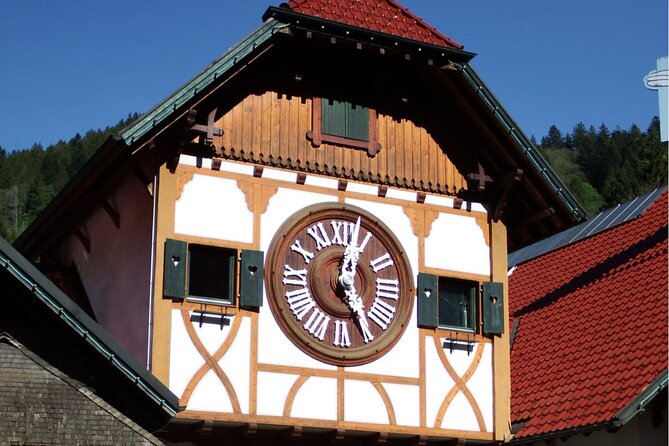 Zürich: Private Car Tour to Rhine Falls, Titisee and Black Forest - What the multilingual driver cum host means for your day
