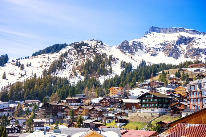Zurich: Private Daytrip to Swiss Villages(Interlaken-Grindelwald) - Car Size, Comfort, and Sightlines You Should Confirm