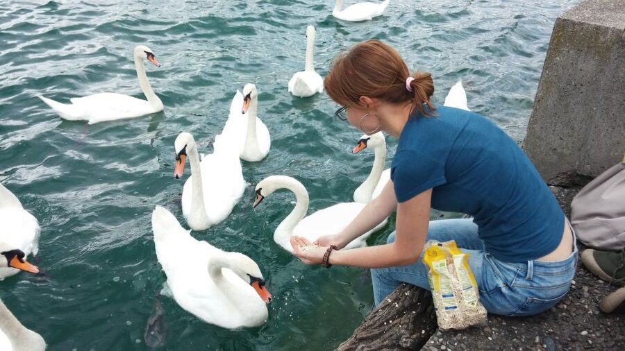 Zurich: Private Walking Tour with a Local Guide - Practical tips so you have a great walking day