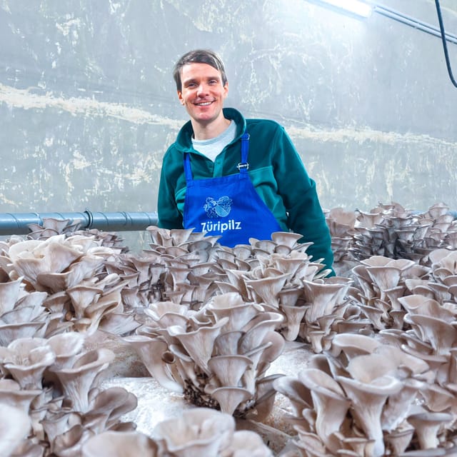 Zurich's best-kept secret: the hidden world of mushrooms! - What sustainability looks like when it is part of daily production