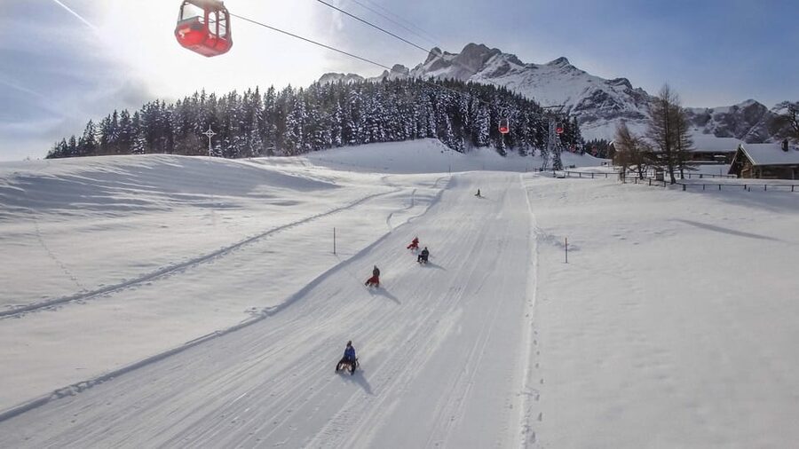 Zurich: Small Group Mount Pilatus Golden Day Trip - Lake Lucerne cruise: switching gears to a slower pace