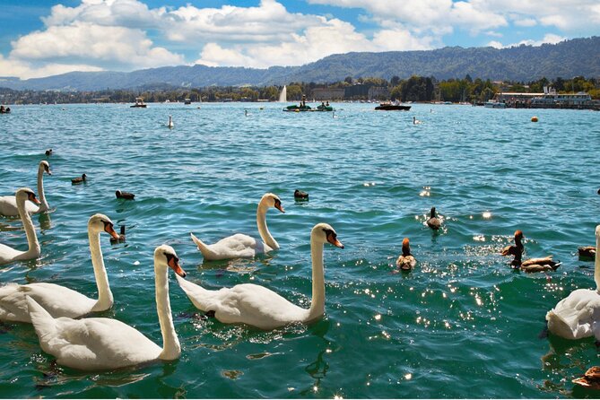 Zurich with Cruise and Lindt Home of Chocolate Private tour - Who this Zurich plus Lindt tour suits best